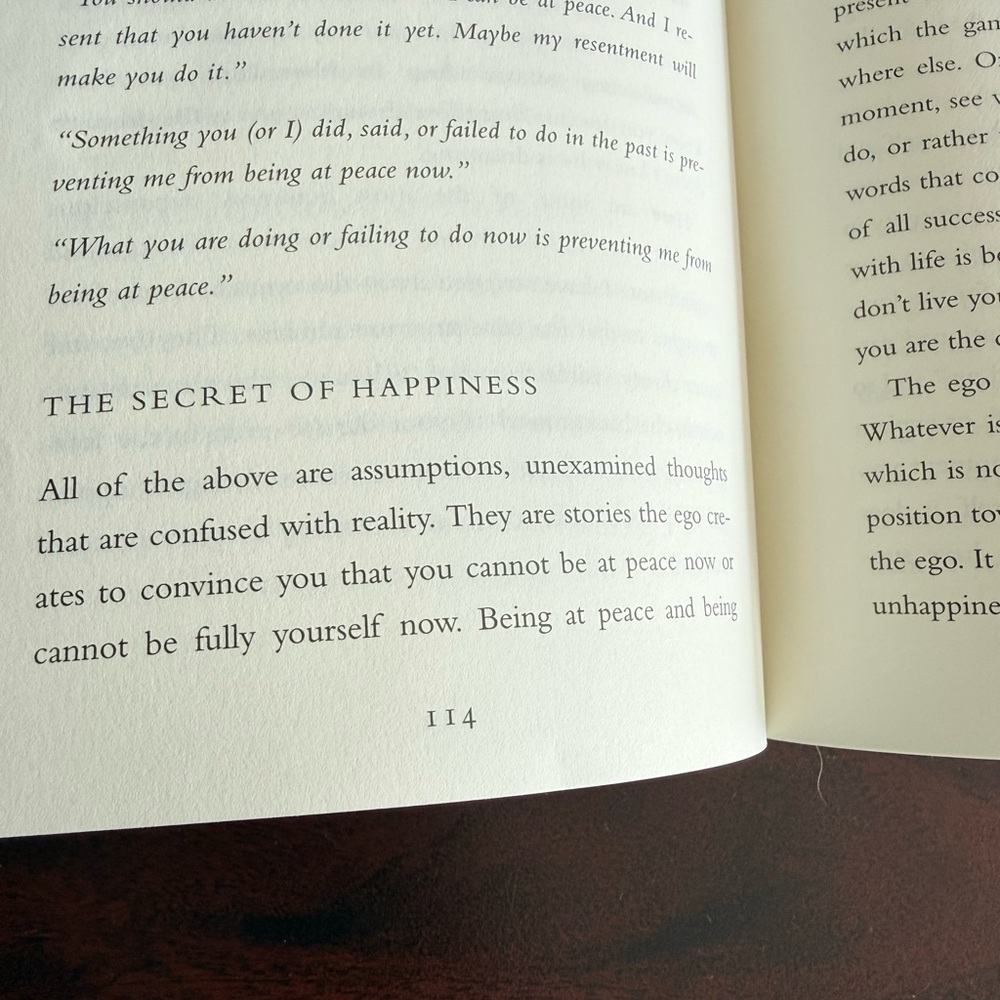 A New Earth - Awakening to Your Life's Purpose - Picture 7 of 8